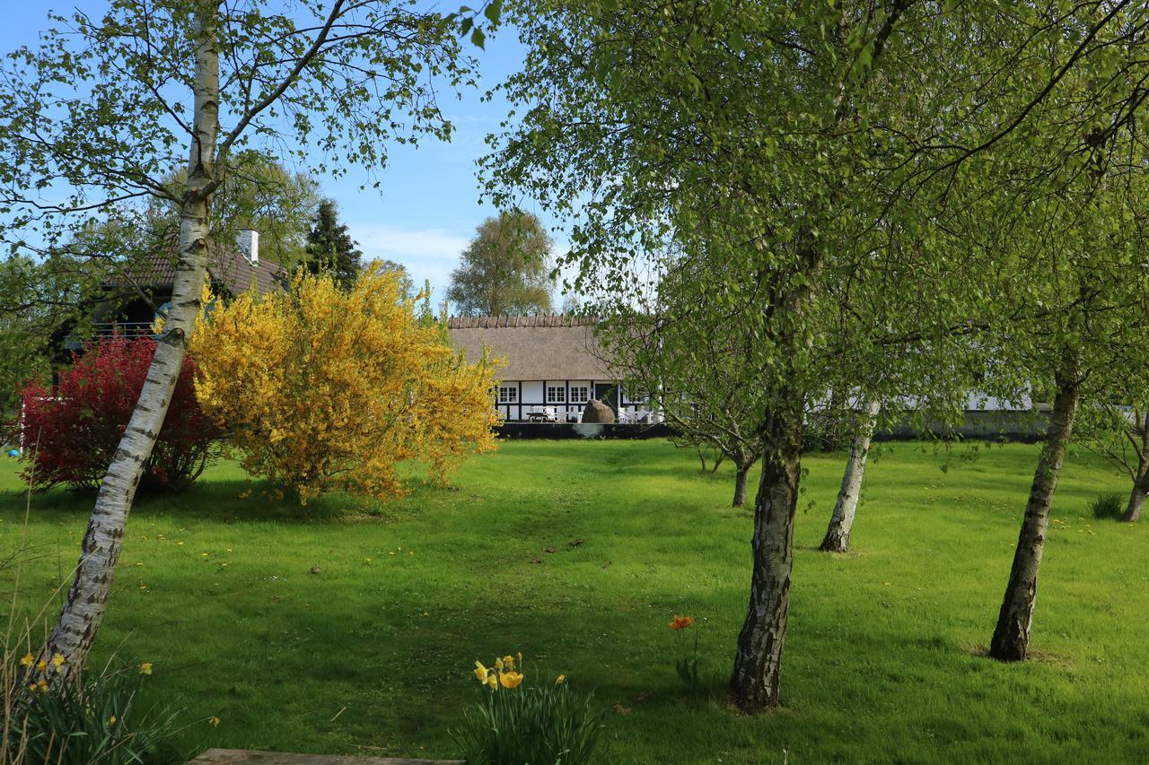 Birkelygaard Bed & Breakfast Harby Экстерьер фото